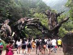 -龙湾潭国家森林公园