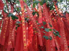 -老七宝热气羊肉馆