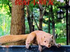 -陶然亭公园