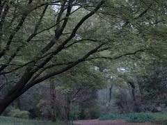 -杭州植物园