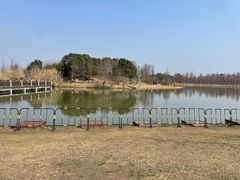 -宁波杭州湾国家湿地公园