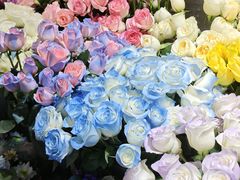 -循礼门鲜花花市(武汉循礼门店)