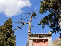 -妙峰山风景名胜区