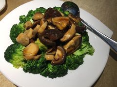 -翅爷家煲仔翅