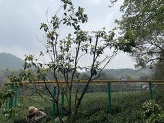 -杭州少年儿童公园