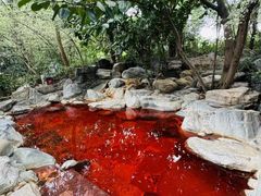 -湖泉半山温泉