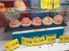 -老袁家蜜桃农场·阳山水蜜桃