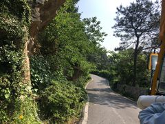 -木兰云雾山