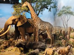 -陕西自然博物馆