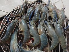 -Jomtien Talay Pao Pattaya