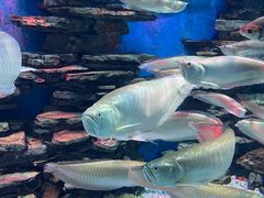 -多彩贵州城极地海洋世界