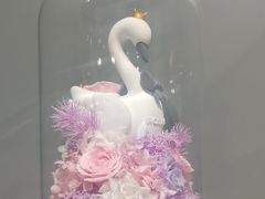 -ROSEONLY诺誓(国际广场购物中心店)