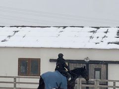 -北京群众马术培训基地