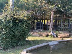 -苏州上方山国家森林公园
