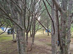 -亲兄弟真人CS团建拓展基地