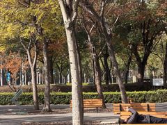 -南翔镇银翔湖公园