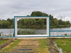 -杭州湾海上花田景区