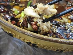 壁山兔-瓦房兔(璧山店)