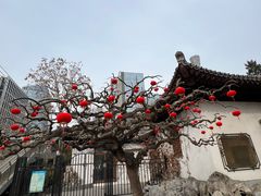 -团结湖公园