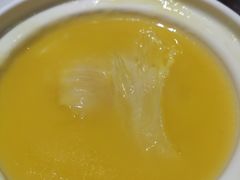 -半岛翡丽海鲜自助餐厅(观风亭店)