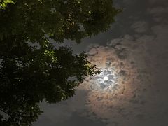 -嘉兴戴梦得购物中心