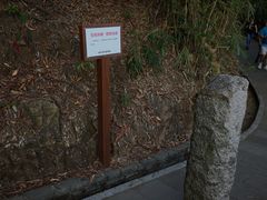 -羚羊峡古栈道森林公园