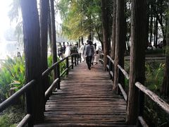 -东湖落雁景区