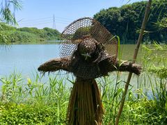 -沙家浜风景区