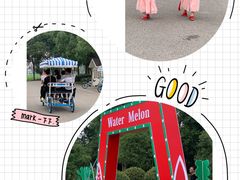 -荷塘月色湿地公园·向阳花洲