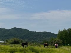 -四明湖