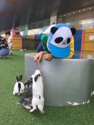 -萌宠亲子动物乐园(槐房万达店)