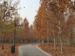 -东郊湿地公园