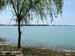 -漕湖湿地公园