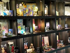 -雪灵魔法世界SHELLY’S TAROT(大良桂畔里店)