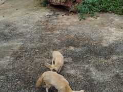 -昆明动物园
