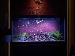 -四季花城功能SPA(科技四路店)