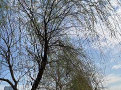 -艾溪湖湿地公园