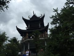 -紫鹊界梯田景区