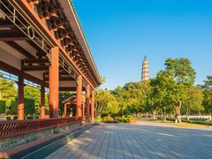-顺峰山公园