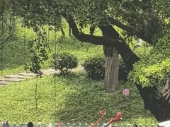 -天河儿童公园