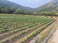 -八卦田遗址公园