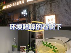 -春树下·树屋花房西餐厅(罍街AS1980店)