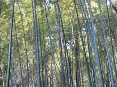 -杭州黄龙洞