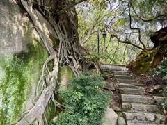 -草庵摩尼教遗址公园