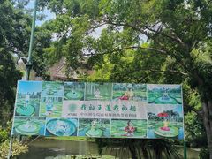 -中国科学院西双版纳热带植物园