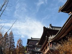 -陆羽泡的茶(集散中心店)