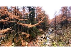 -秦岭风景区