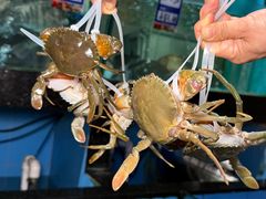 -荣基四海一家·家常菜·海鲜大排档(新安店)