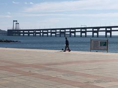 -星海湾跨海大桥