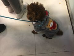 -一代烤翅王(大汉口店)